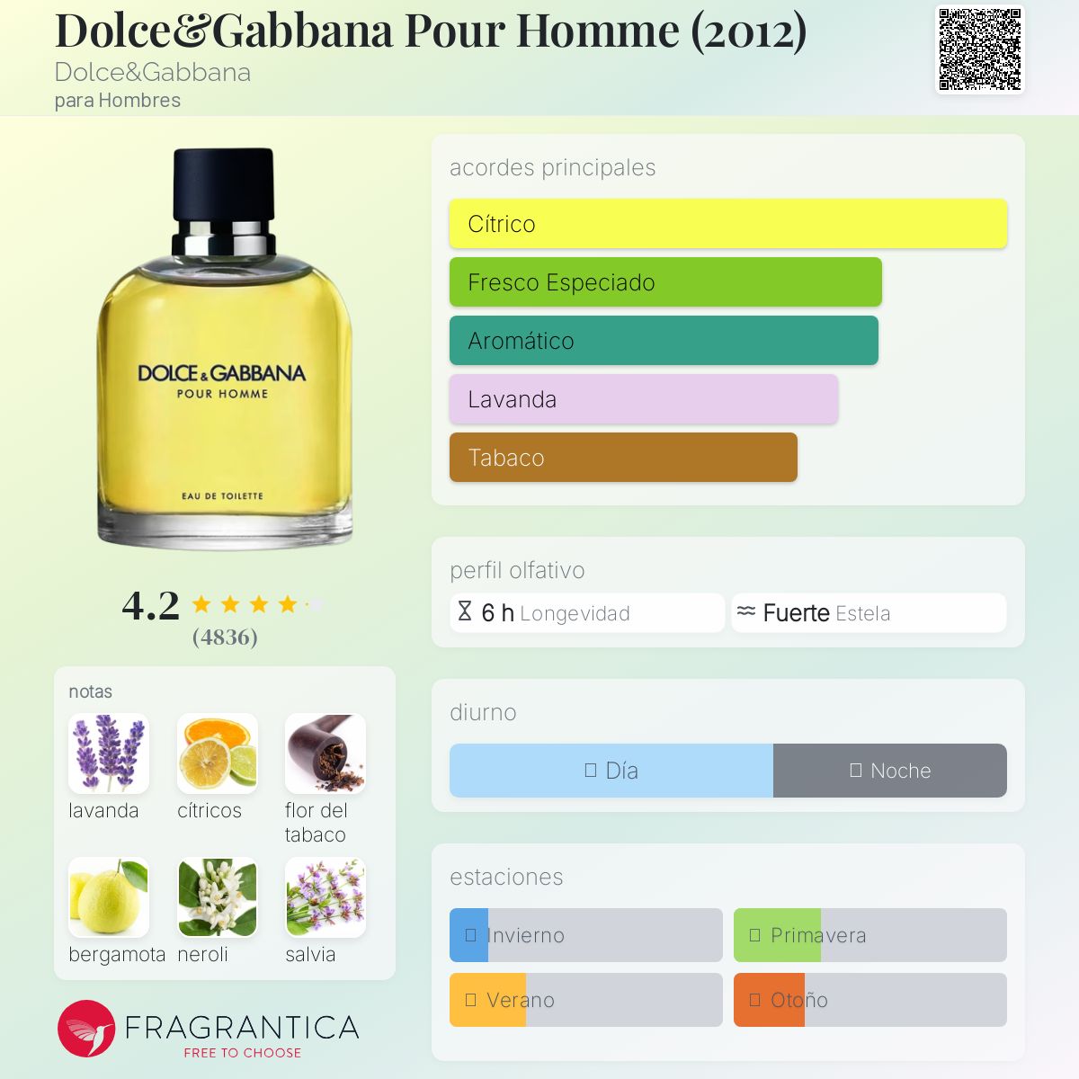 Pour Homme Dolce&Gabbana Descriptiva