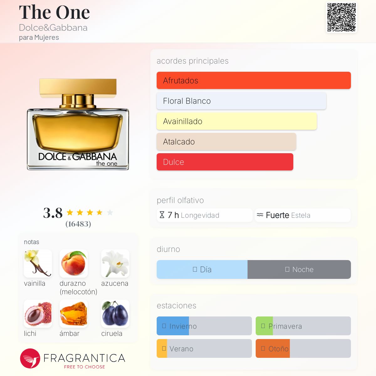 The One Dolce&Gabbana Descriptiva