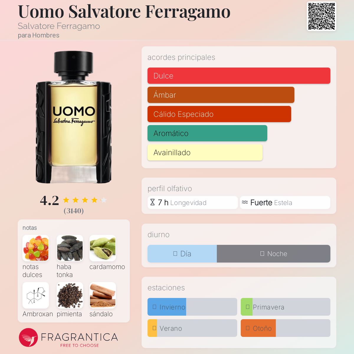 Uomo Salvatore Ferragamo Salvatore Ferragamo Descriptiva